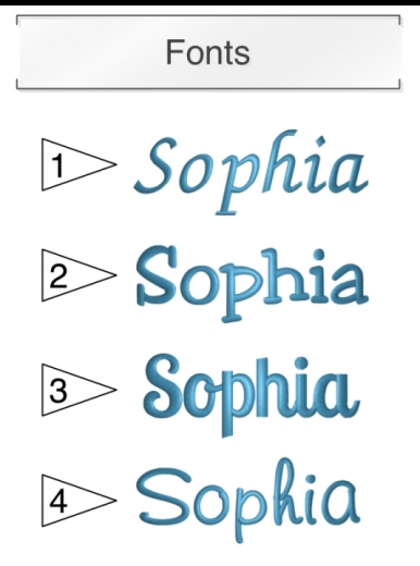 Plüsch-Teddy "SUNNY" mit Name & Geburtsdatum etc..